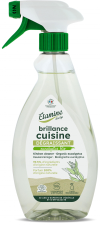 Detergenti pentru bucatarie - Detartrant(anticalcar) si degresant pentru bucatarie, parfum eucalipt Etamine