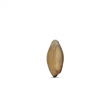 Grau spelta BIO decorticat Alliance Bio [3]