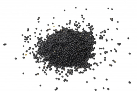 Linte BIO neagra Alliance Bio [4]