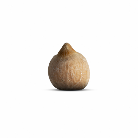 Naut BIO Alliance Bio [3]
