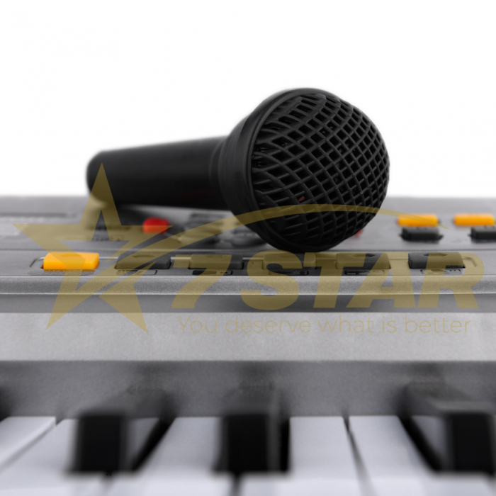 Orga Electronica MQ-001UF, 100 ritmuri, 100 tonuri, 10 melodii demonstrative, 61 clape, usb, radio fm, mp3, afisaj lcd, cadou microfon [4]