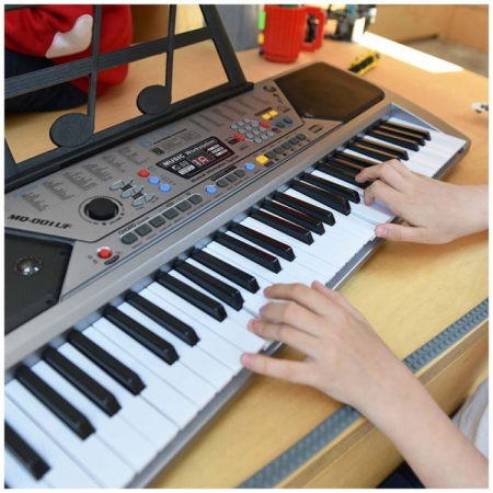 Orga Electronica MQ-001UF, 100 ritmuri, 100 tonuri, 10 melodii demonstrative, 61 clape, usb, radio fm, mp3, afisaj lcd, cadou microfon [8]