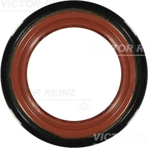SEMERING AX CAME VICTOR REINZ 81-19299-10 [1]