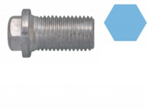 Piese auto aftermarket - Surub golire baie ulei+garnitura CORTECO 220120S