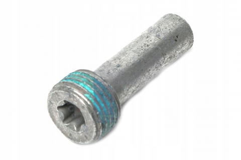 Piese auto OE - BOLT PATINA DISTRIBUTIE OE BMW 11317797900