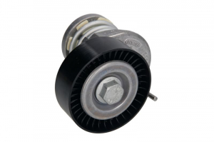 Piese auto aftermarket - INTINZATOR CUREA MULTICANELARA INA 534016410