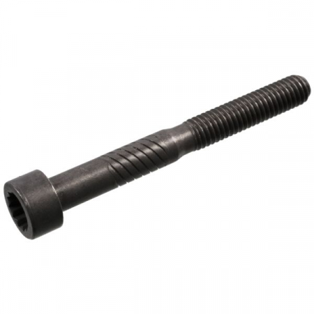 Piese auto aftermarket - SURUB PALIER AX CAME FEBI FE100729