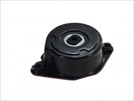 Piese auto aftermarket - INTINZATOR CUREA MULTICANELARA INA 534017310