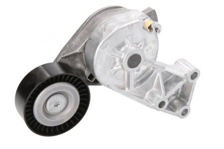 Piese auto aftermarket - INTINZATOR CUREA MULTICANELARA INA 534013230