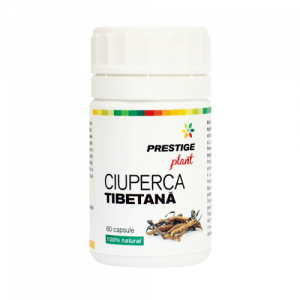 Vitamine & Suplimente - Ciuperca tibetană 60 cps Prestige plant