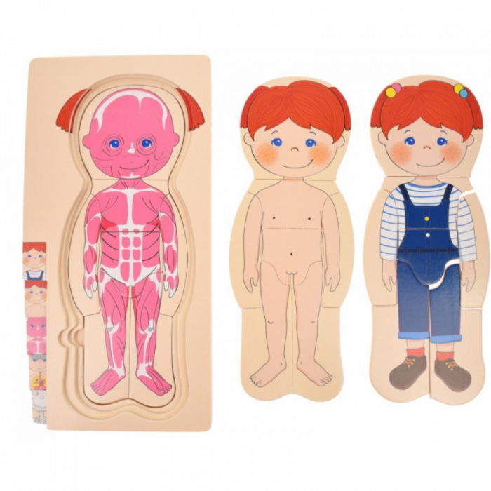 Puzzle din lemn în straturi Anatomia Corpului uman - FATĂ [3]
