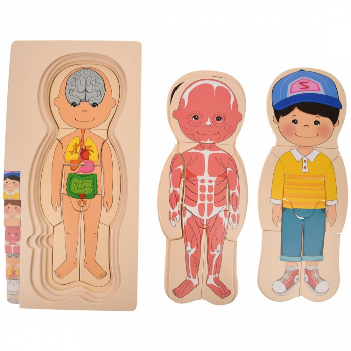 Puzzle din lemn în straturi Anatomia Corpului uman - BĂIAT [4]