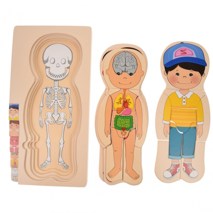Puzzle din lemn în straturi Anatomia Corpului uman - BĂIAT [5]