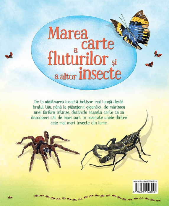 Marea carte a fluturilor si a altor insecte (Usborne) [6]