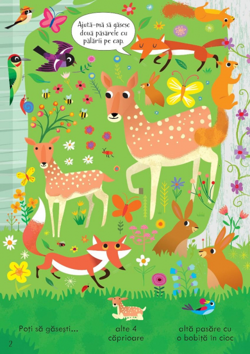 Cauta si gaseste. In padure (Usborne) [2]