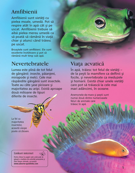 Prima mea enciclopedie despre animale (Usborne) [4]