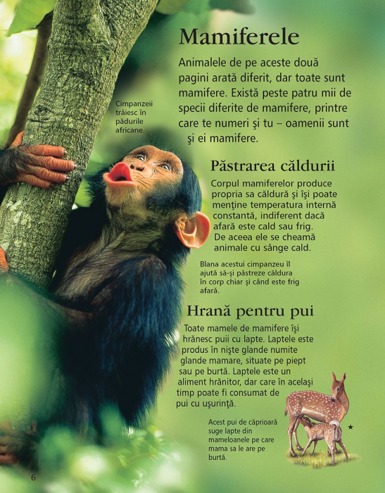 Prima mea enciclopedie despre animale (Usborne) [5]