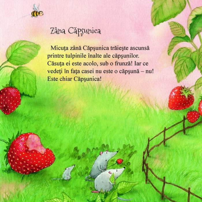 Zana Capsunica. Cea mai iubita zana. [3]