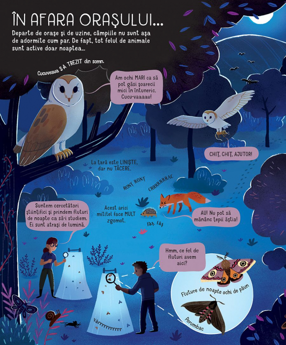 Ce se intampla noaptea? (Usborne) [4]