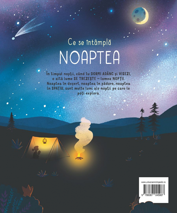 Ce se intampla noaptea? (Usborne) [7]
