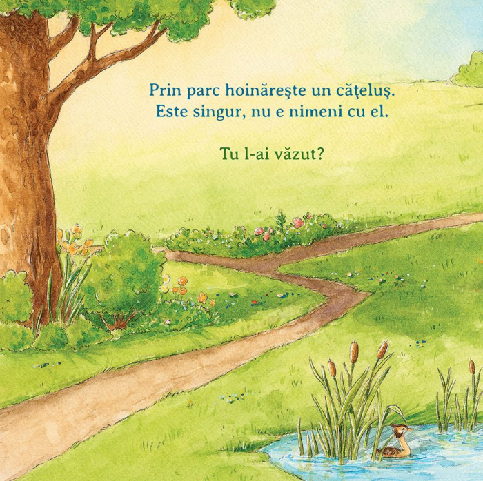 Vrei sa fii prietenul meu? [2]
