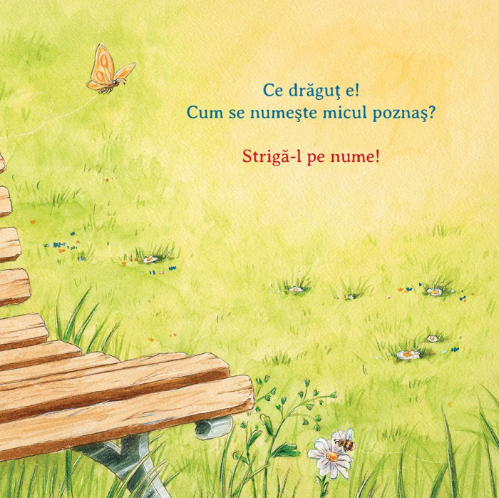 Vrei sa fii prietenul meu? [4]