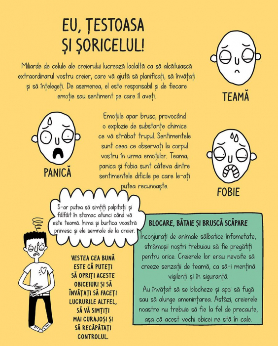 MINDFUL KIDS: Fiti curajosi! [4]