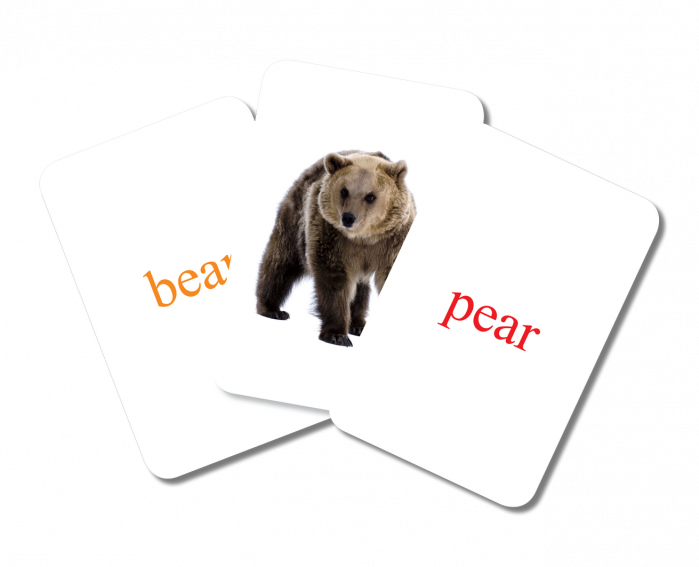 EDUCARD JUNIOR PLUS. Limba engleză [4]