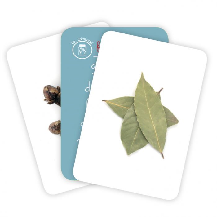 CĂRŢI DE JOC MONTESSORI. Lumea plantelor [2]