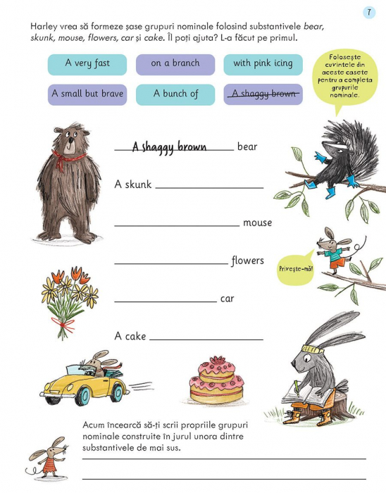 Caiete de activitati. Gramatica si punctuatie 8-9 ani - Limba engleza (Usborne) [5]