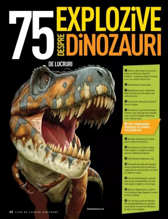 5000 de lucruri uimitoare [4]