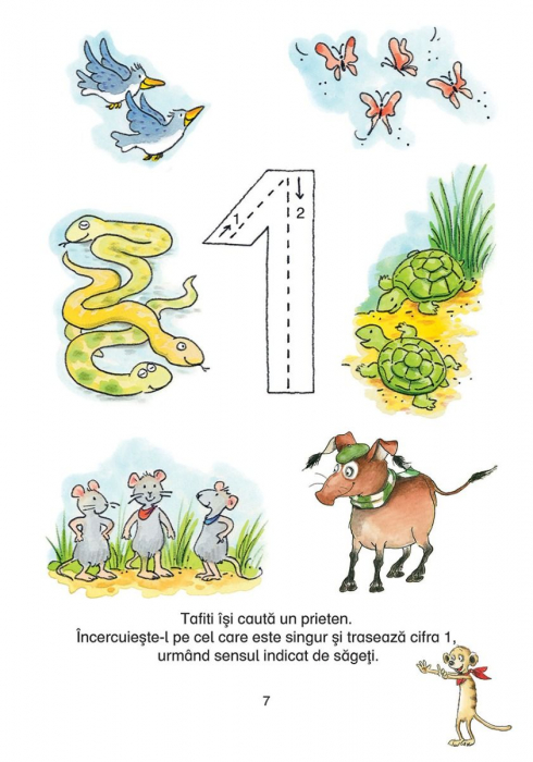 Invata cu Tafiti. Numerele de la 1 la 10 [2]