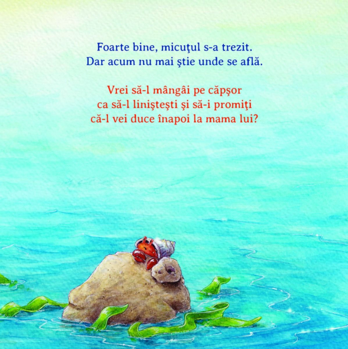 Ajuta-ma sa ajung acasa! [6]