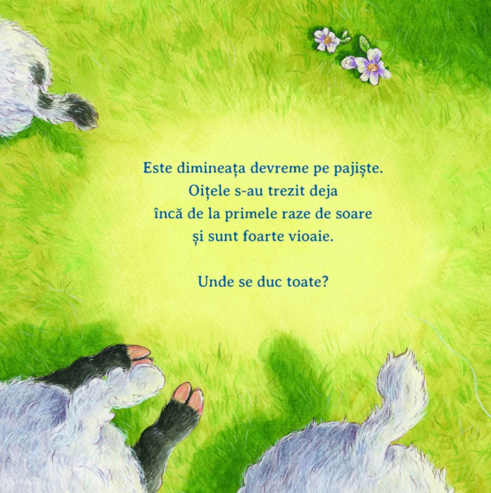 Ajuta-ma, te rog! [2]