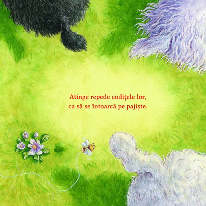 Ajuta-ma, te rog! [3]