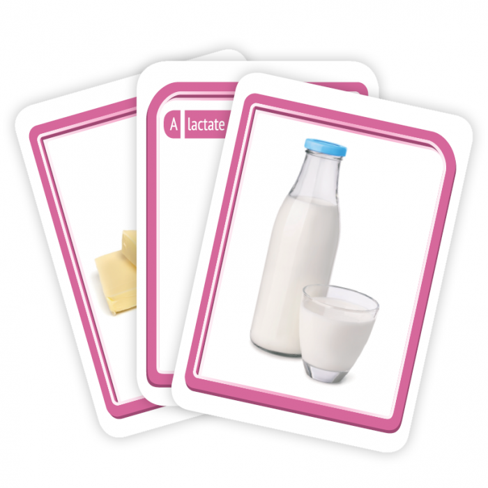 Bingoletto. Invat limba engleza. Alimente [5]