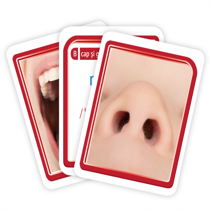 Bingoletto. Invat limba engleza. Corpul meu. [4]
