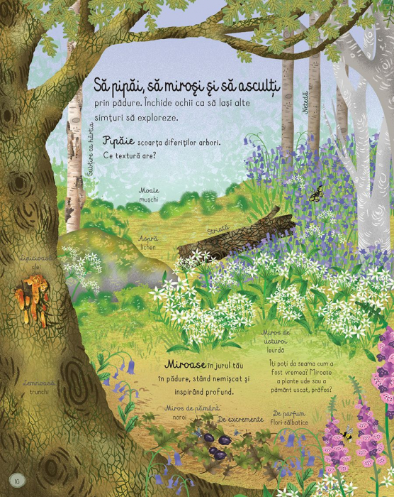 Cartea padurii (Usborne) [2]
