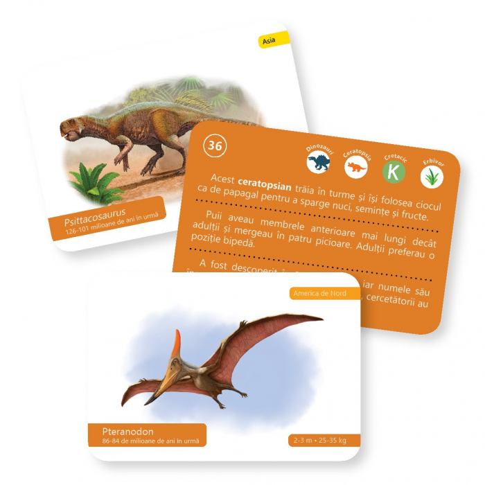 CĂRȚI DE JOC MONTESSORI PENTRU 6-12 ANI. Evoluția vieții: Dinozauri [4]