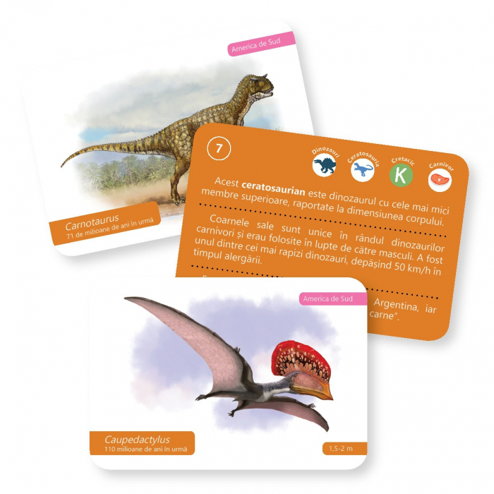 CĂRȚI DE JOC MONTESSORI PENTRU 6-12 ANI. Evoluția vieții: Dinozauri [3]