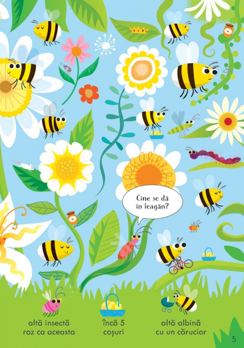 Cauta si gaseste. Insecte (Usborne) [5]
