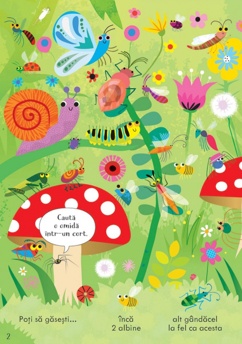 Cauta si gaseste. Insecte (Usborne) [2]