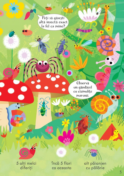 Cauta si gaseste. Insecte (Usborne) [3]