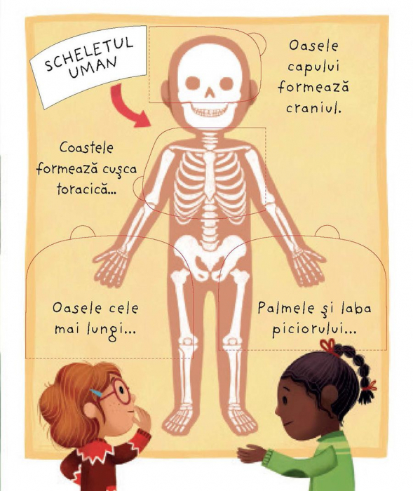 Ce se afla inauntrul meu? (Usborne) [6]