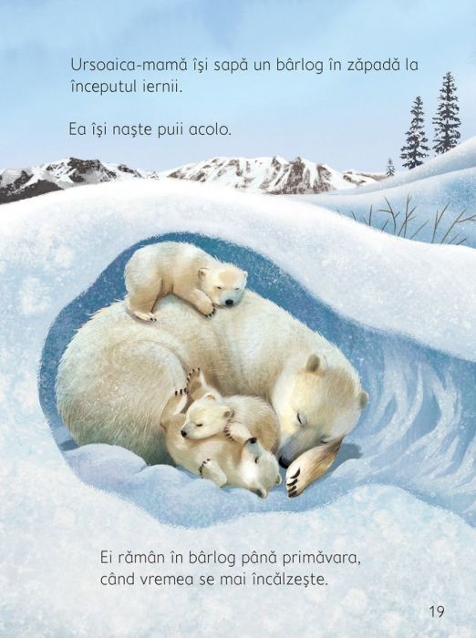 Ce se intampla sub pamant? (Usborne) [2]