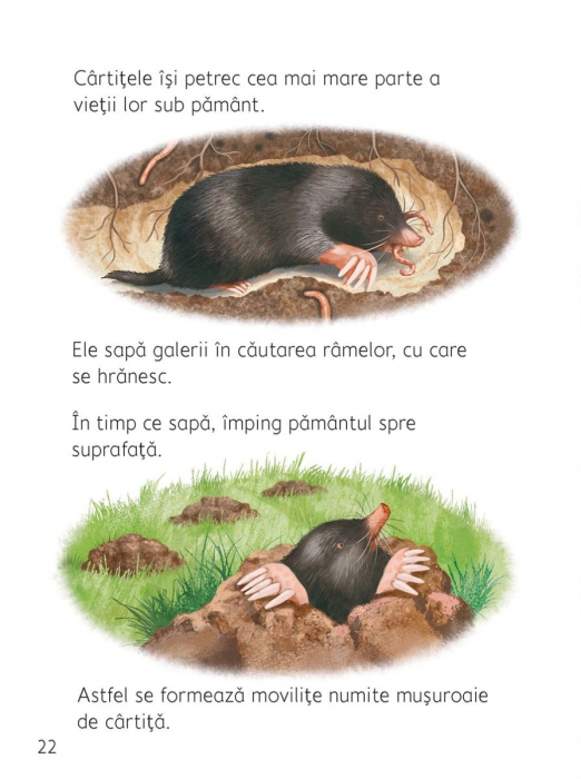 Ce se intampla sub pamant? (Usborne) [4]
