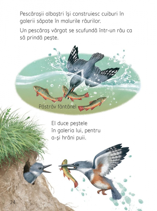 Ce se intampla sub pamant? (Usborne) [5]