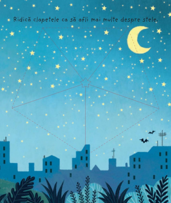 Ce sunt stelele? (Usborne) [5]
