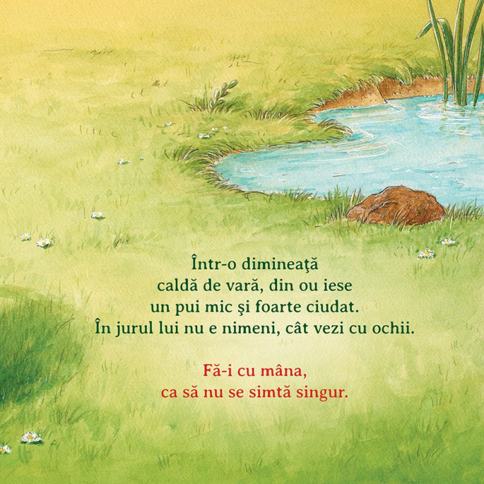 Cine esti tu? [3]