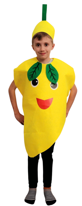 Costum din fetru copii fructe si legume Mango [1]